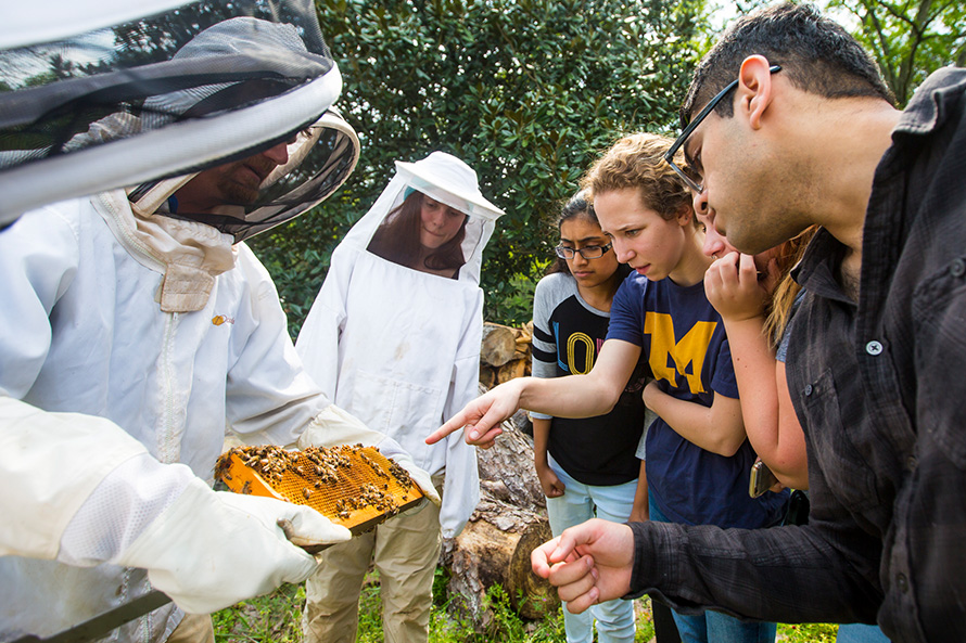 students and beekeepers in the field