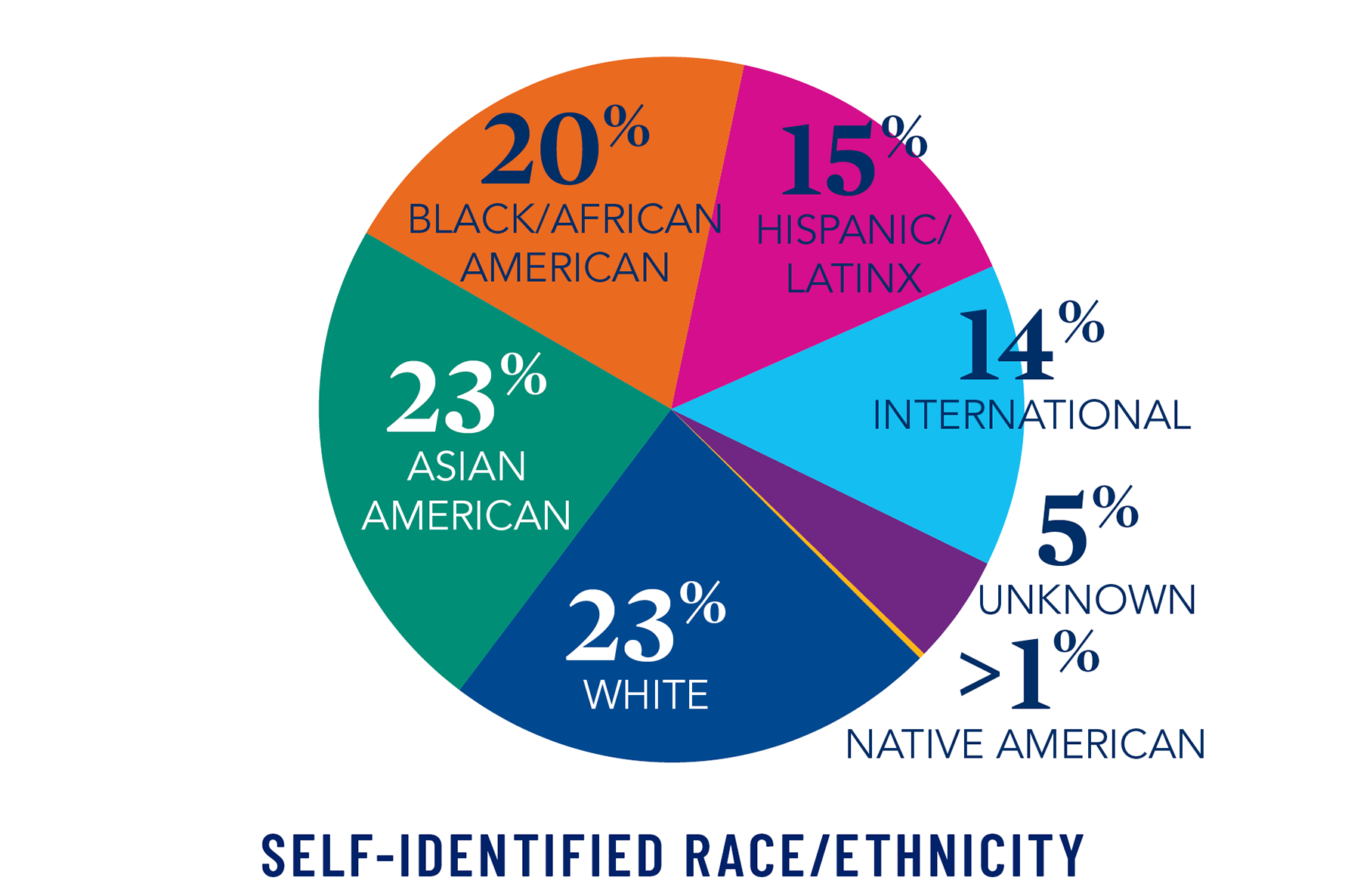 Pie graph: Caucasian/White 23%,  Asian/Asian American 23%, Black/African American 20%,  Hispanic/Latinx 15%, International 14%, Unknown 5%, Native American less than 1%
