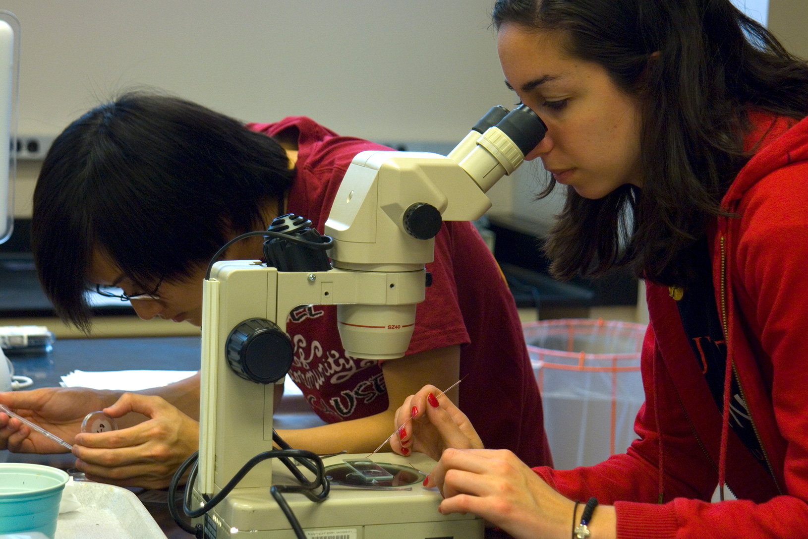 student with microscope